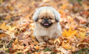 思春期の足の臭い対策に効果的な方法は？