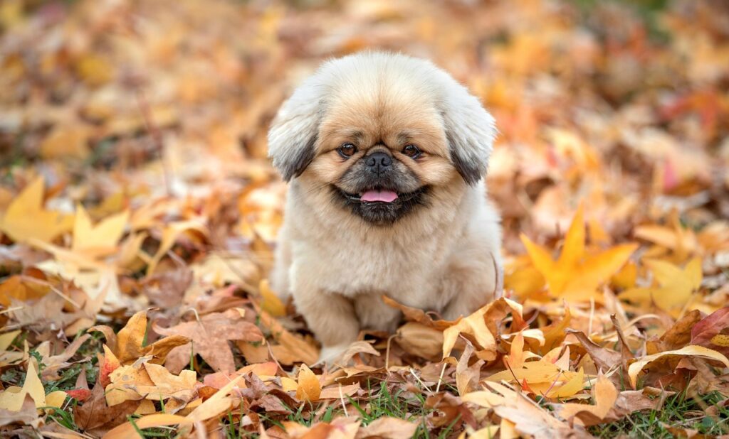 水虫が移るのを防ぐための効果的な対策は？