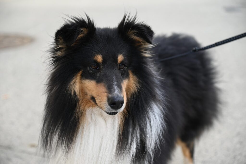 水虫を放置するとどんな症状が悪化するのか？