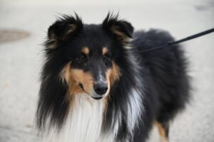 水虫を放置するとどんな症状が悪化するのか？