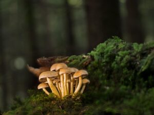 足の角質に菌がエサを与える原因とその対策は？