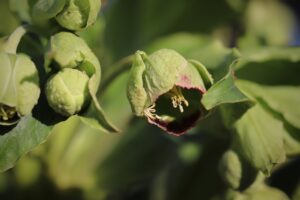 足の臭いをドライヤーで乾燥させる効果とは？