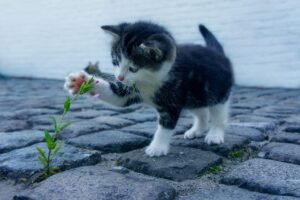 足の臭いを解消するクリームの効果は？